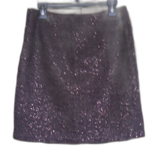 NWT JJill wool skirt